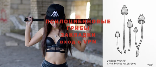 таблы Алексеевка