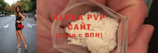 шишки Арсеньев